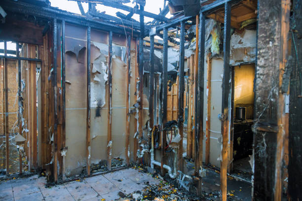 Professional Fire Damage Restoration technician working in Palmetto, FL