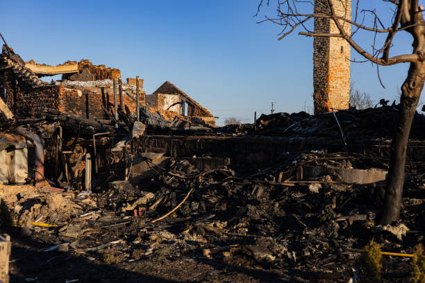 Reliable Fire Damage Restoration contractor in Palmetto, FL by Fire Damage Doption
